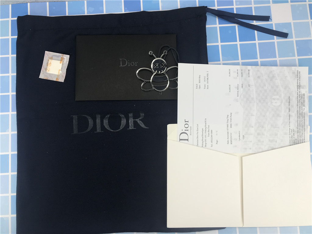 Dior B23 Low Dior Oblique